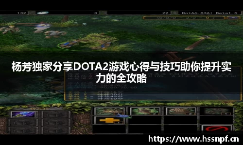 杨芳独家分享DOTA2游戏心得与技巧助你提升实力的全攻略